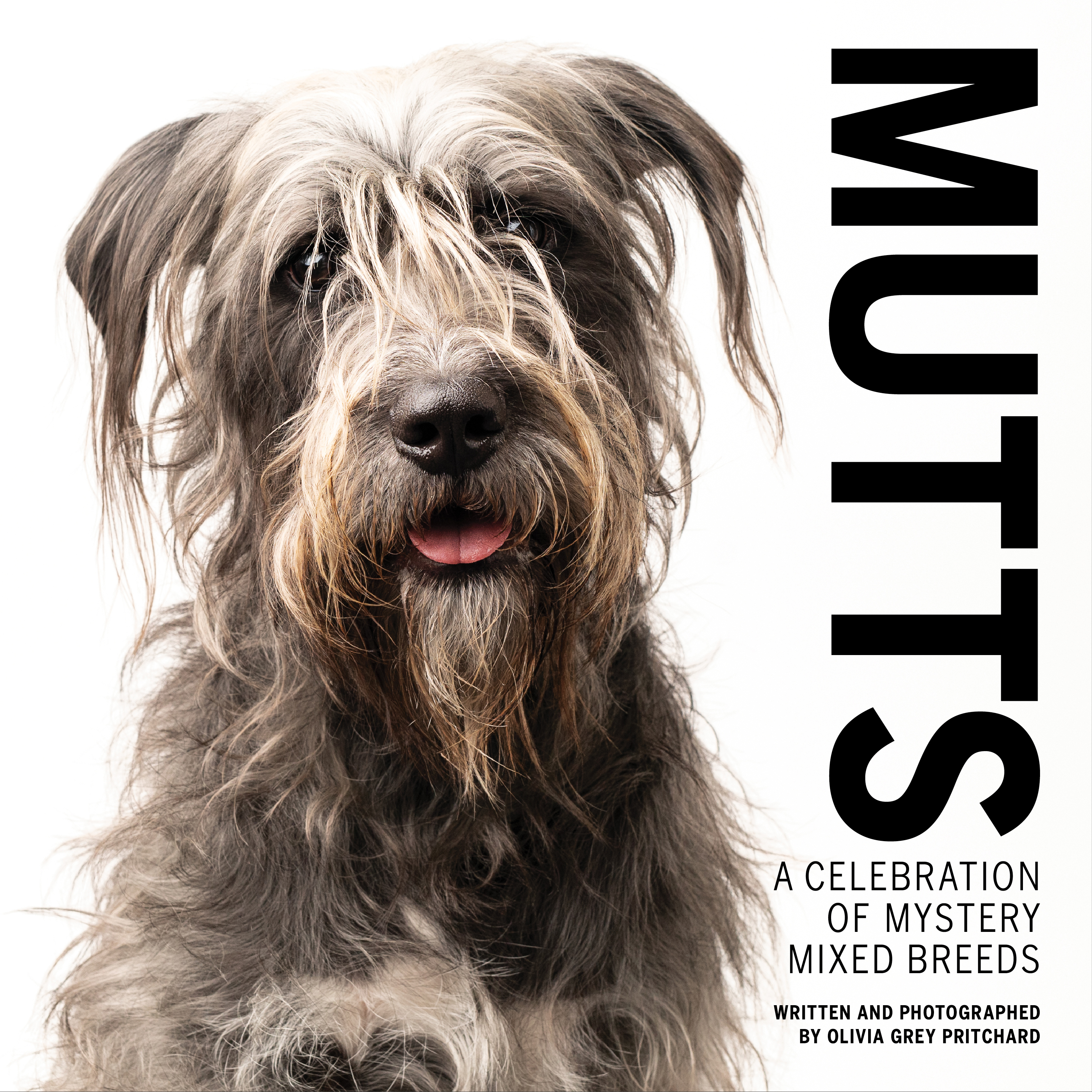 MUTTS