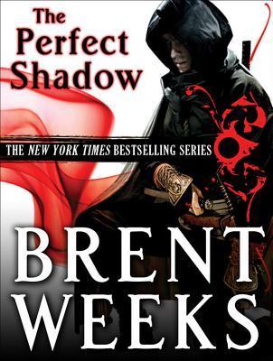 Perfect Shadow (Night Angel #0.5)