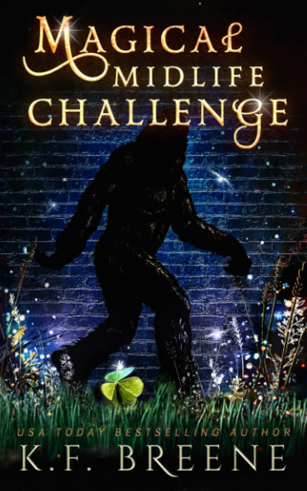 Magical Midlife Challenge (Leveling Up #6)