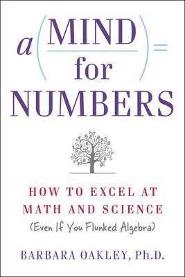 A Mind For Numbers