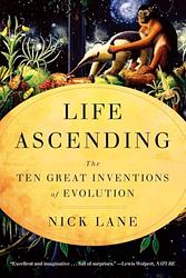 Life Ascending