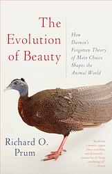 The Evolution Of Beauty