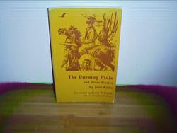 The Burning Plain and Other Stories