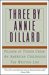 An American Childhood