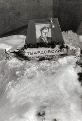 Vasili Tyorkin