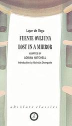 Lost In A Mirror