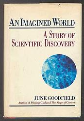 An Imagined World
