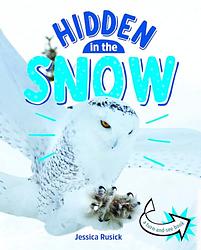 Hidden In Snow
