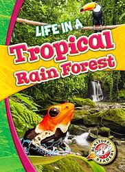 Life In A Tropical Rain Forest