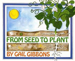 From Seed To Plant