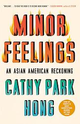 Minor Feelings