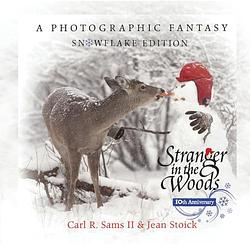 Stranger In The Woods