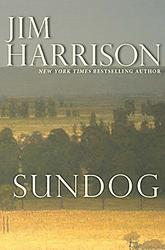 Sundog
