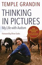 Thinking In Pictures