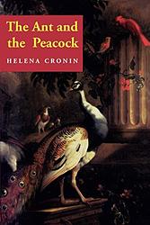 The Ant And The Peacock