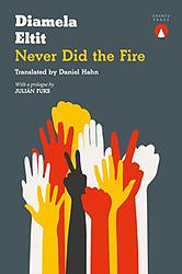 Never Did The Fire